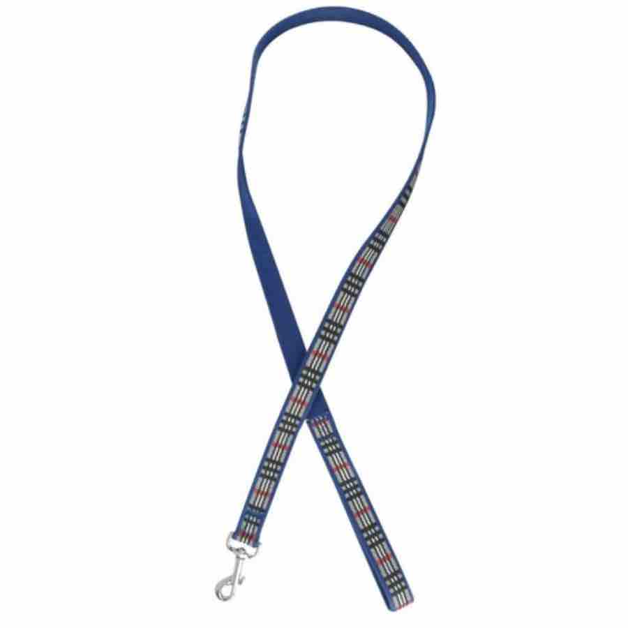 Correa azul para perro