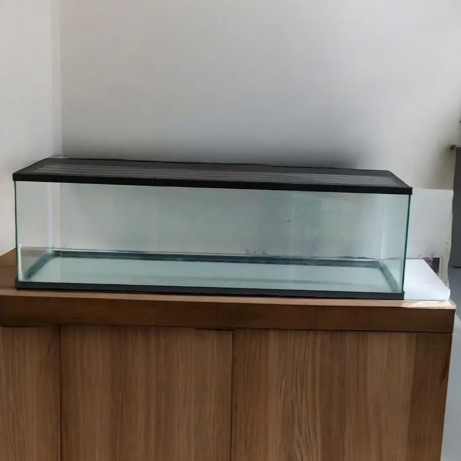 Terrario suntu 100 x 26 x 30 cm 6 mm rectangular