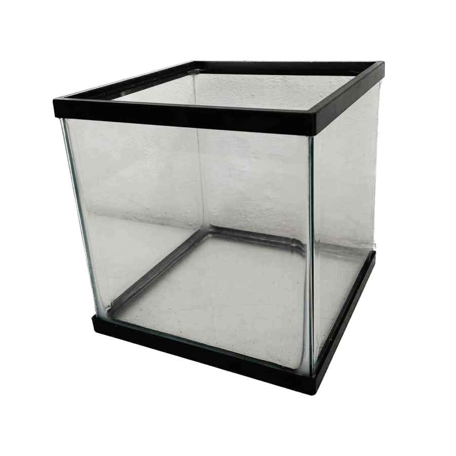 Pecera cubo de 20 x 20 cm