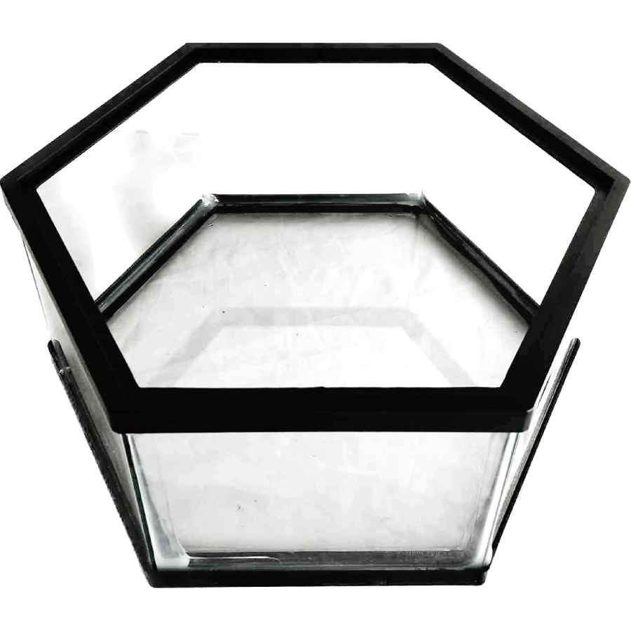Pecera hexagonal bajita