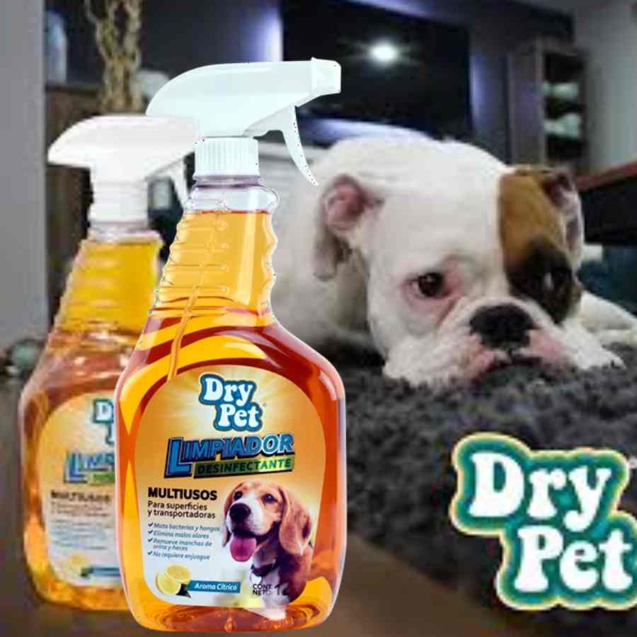 Limpiador desifectante dry