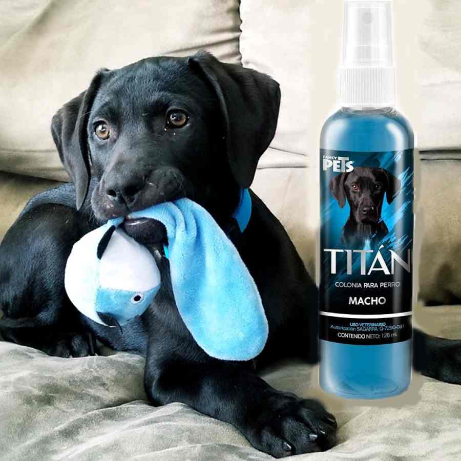 Perfume para macho colonia titan 125 ml