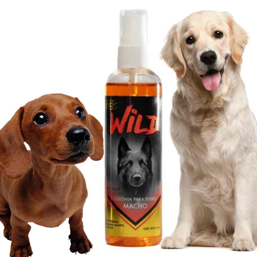 Perfume para macho colonia wild 125 ml