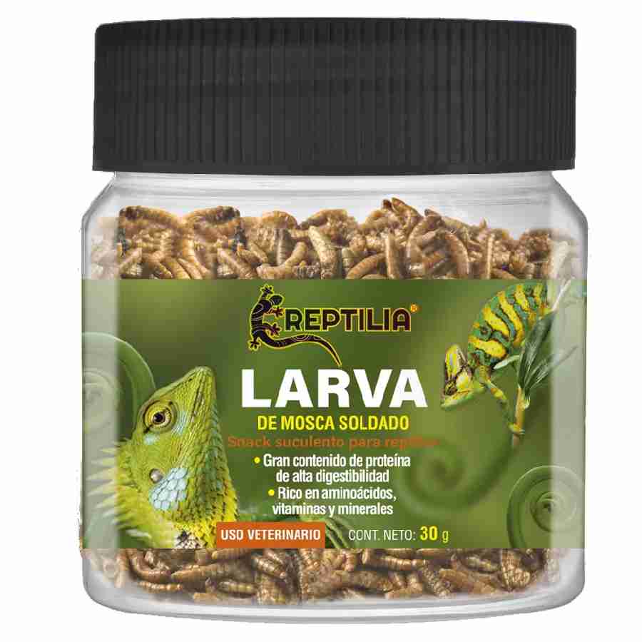 Larva de mosca soldado 30 gr