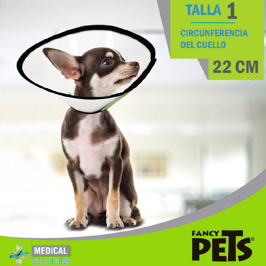 Collar isabelino talla 1