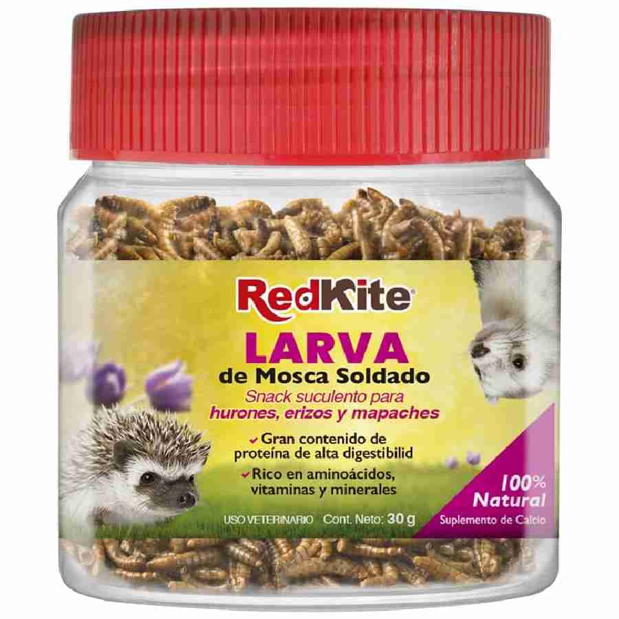Larva de mosca soldado 30 gr