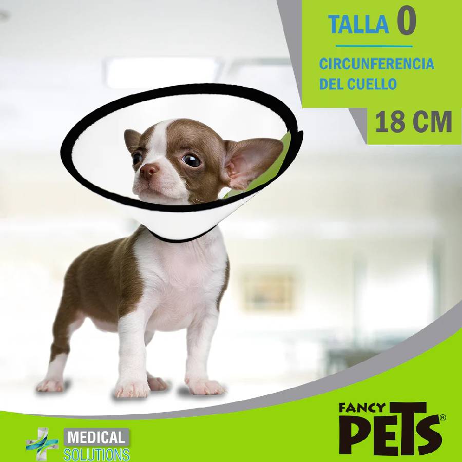 Collar isabelino talla 2