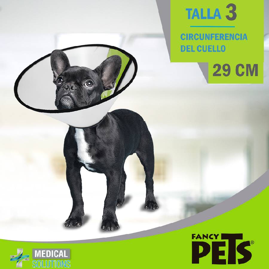 Collar isabelino talla 3
