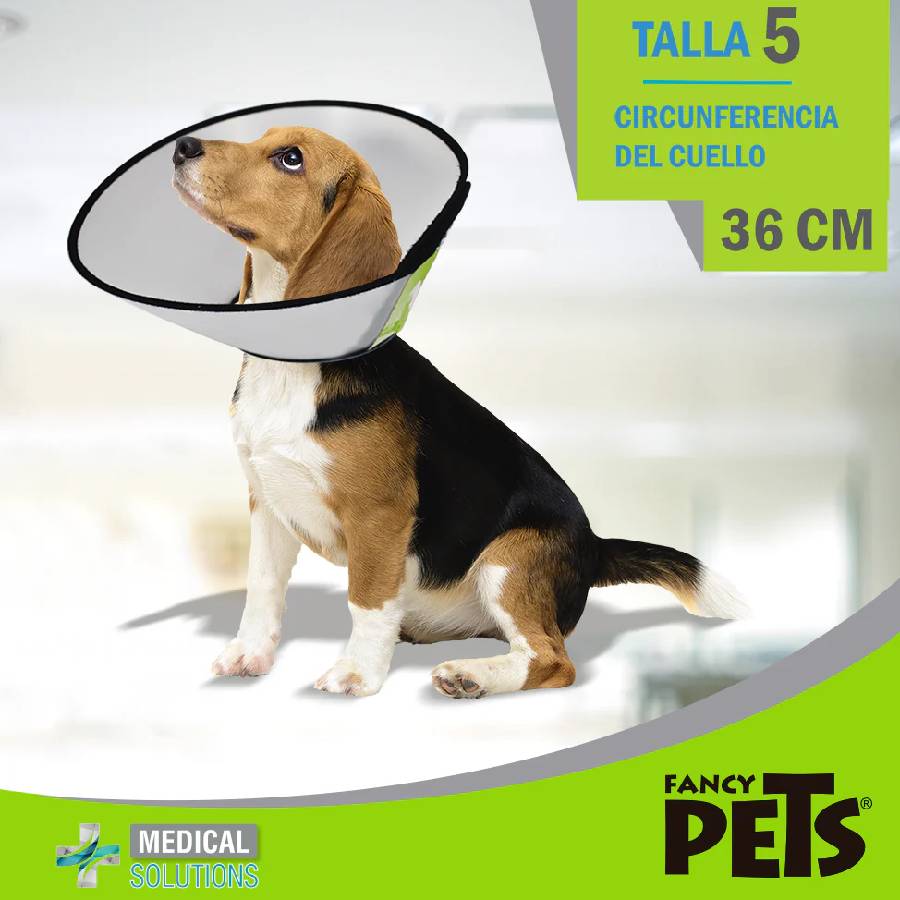 Collar isabelino talla 5