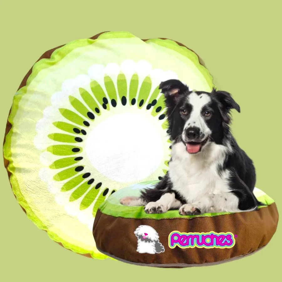 Cama fruti kiwi mediana