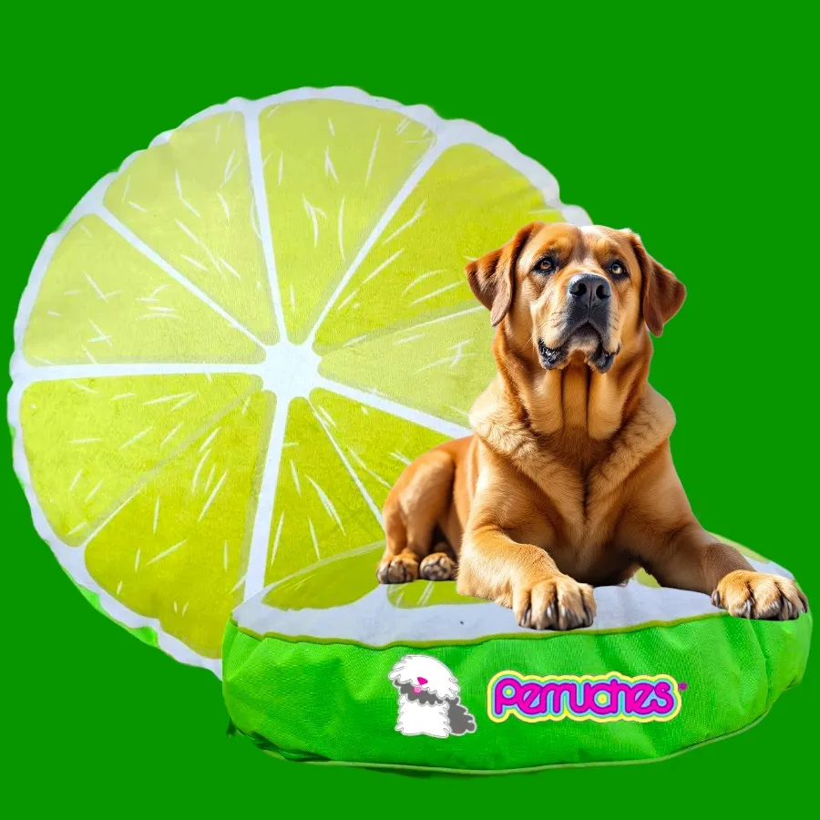 Cama fruti limon grande