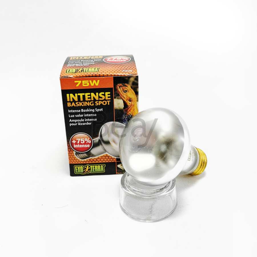 Foco intense basking spot para reptil 75w