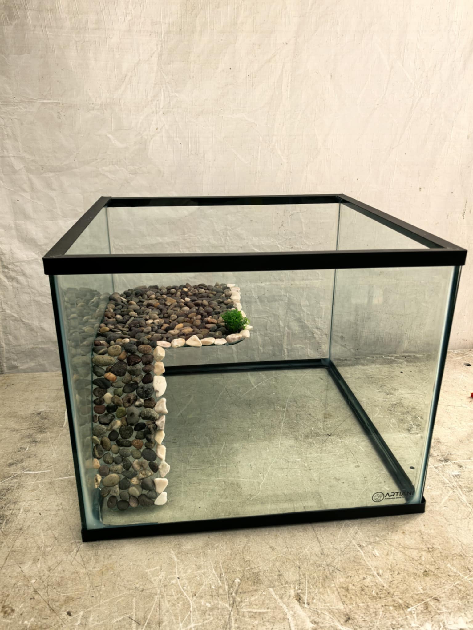 Tortuguero cubo  50 x 40cm