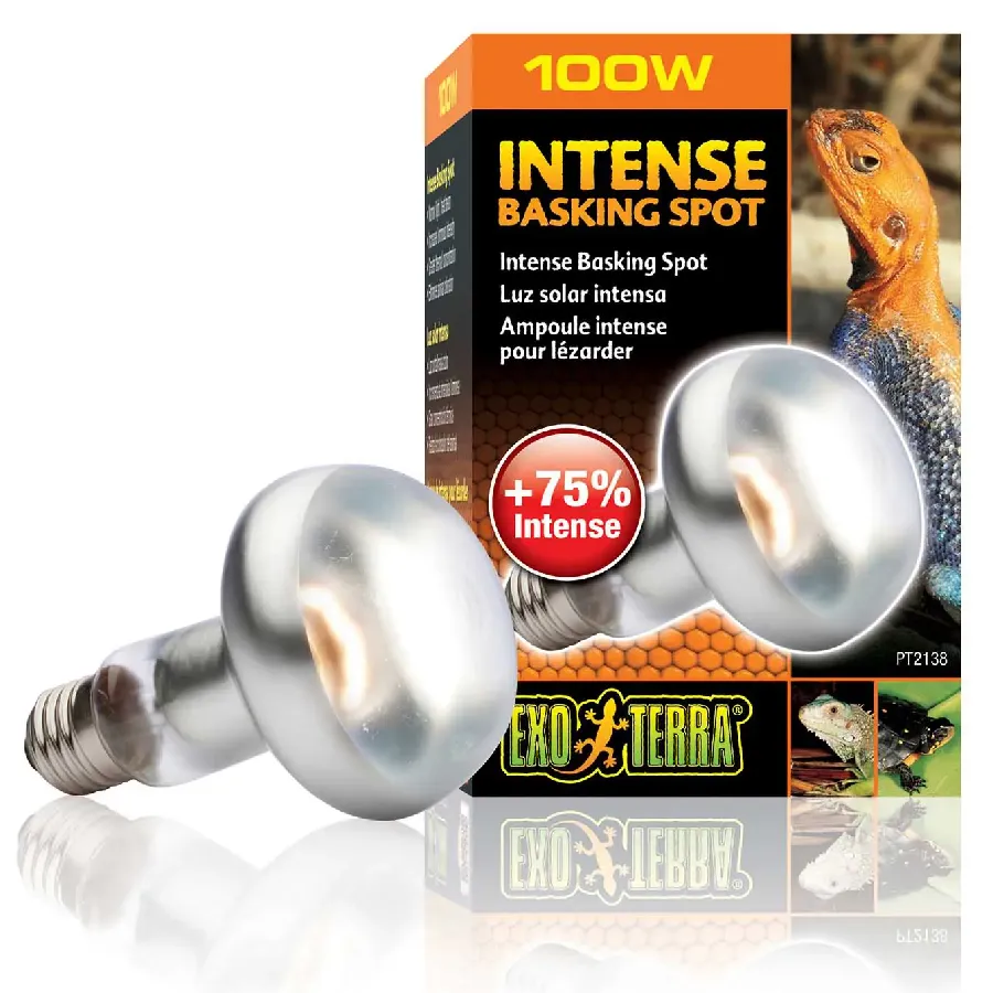 Foco intense basking spot 100w