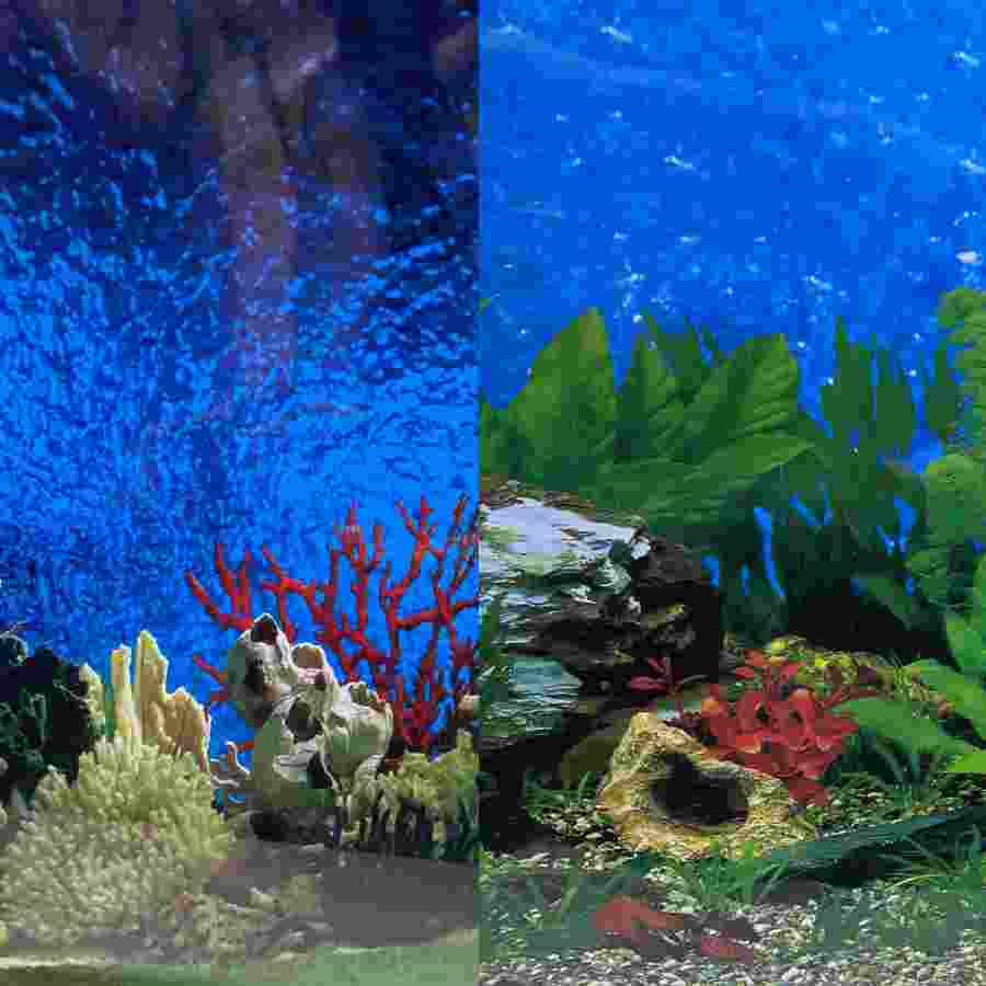 Póster marpla 50cm por rollo