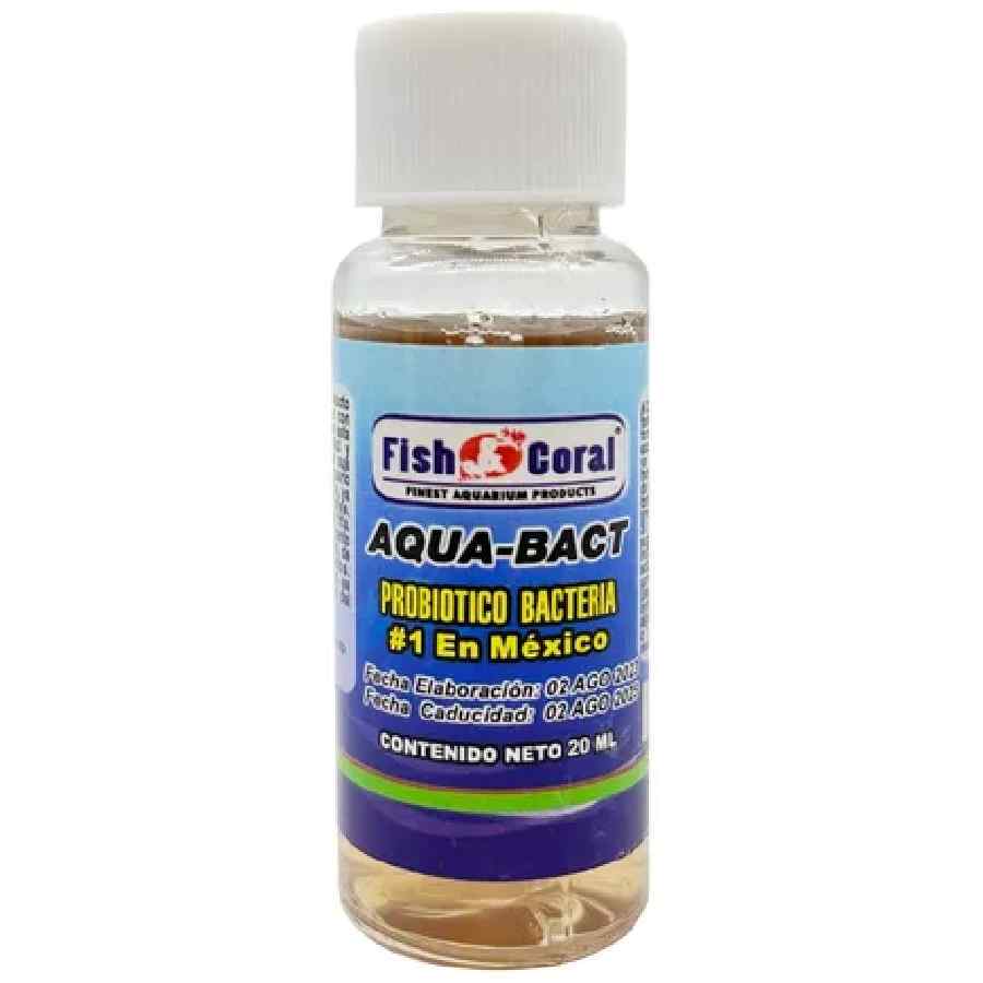Bacteria 20 ml