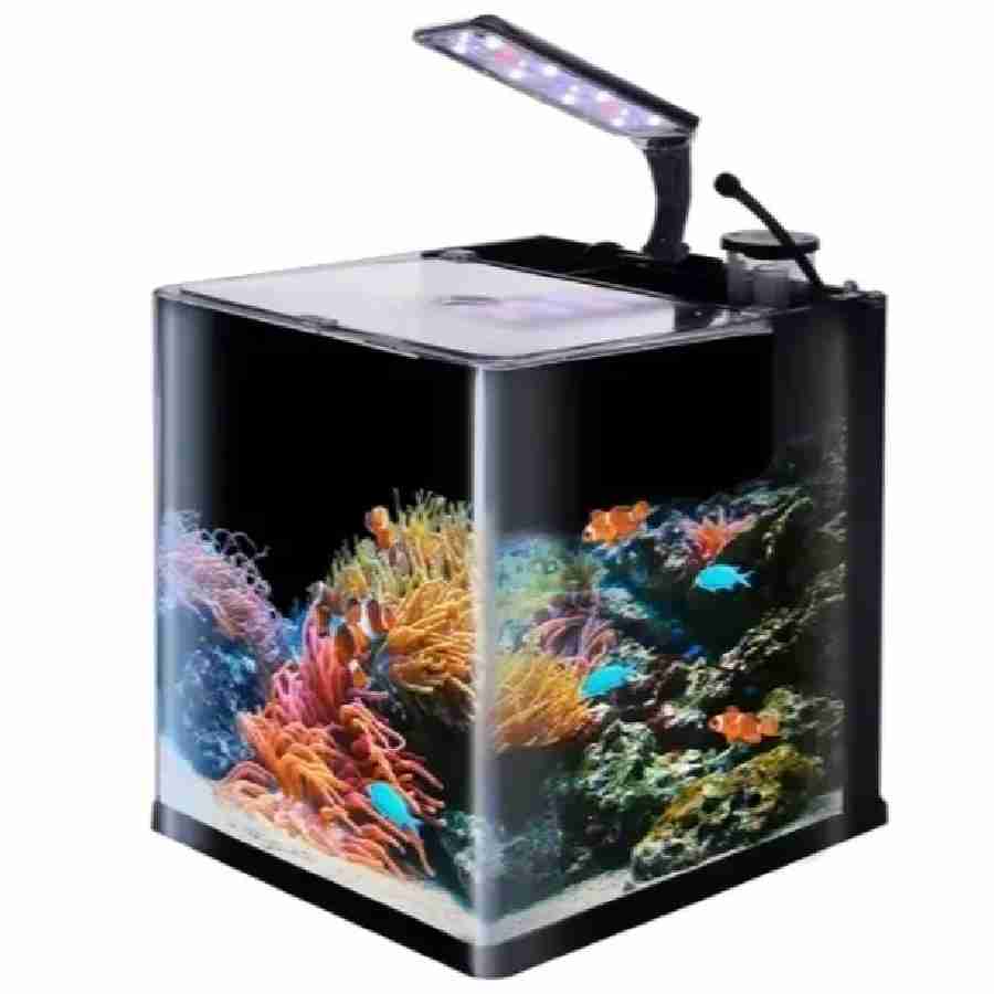 Acuario nano reef