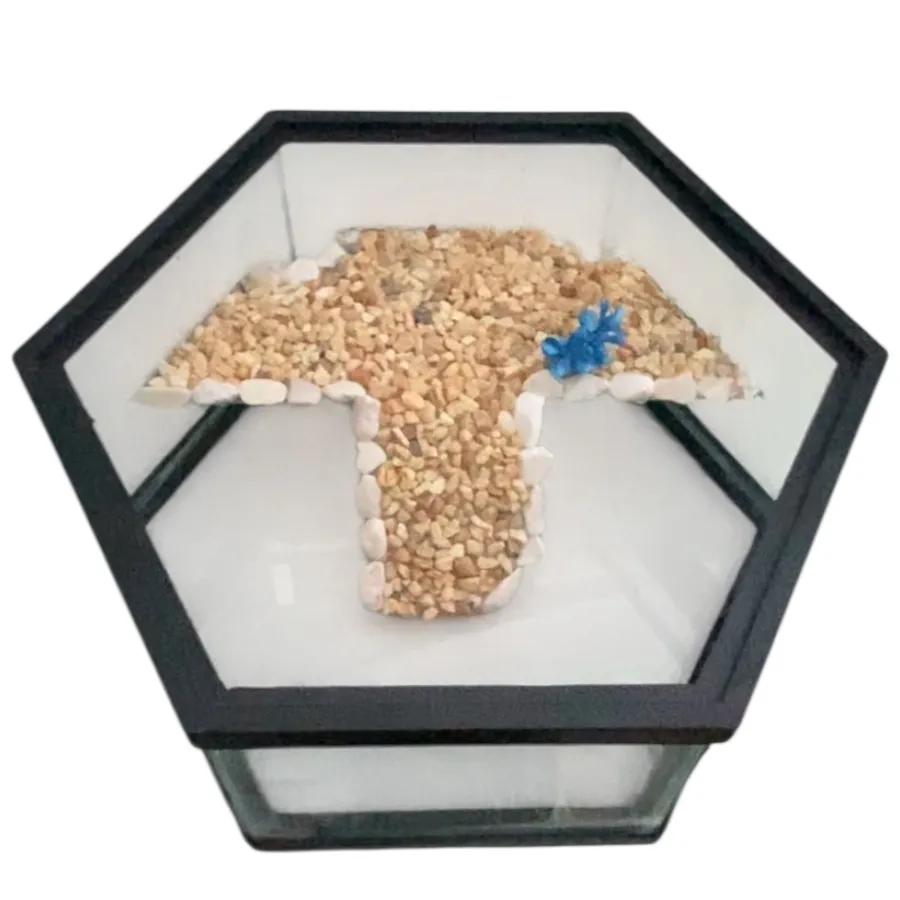 Tortuguero 38 x 38 x 20 cm 3 mm hexagonal