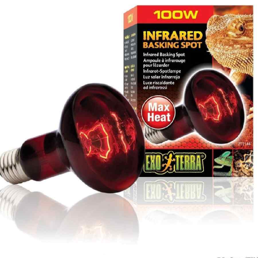 Foco infrarrojo para reptiles 100w
