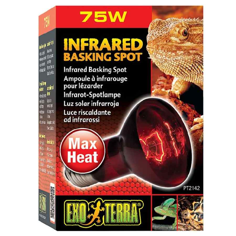 Foco infrarrojo para reptil 75 w