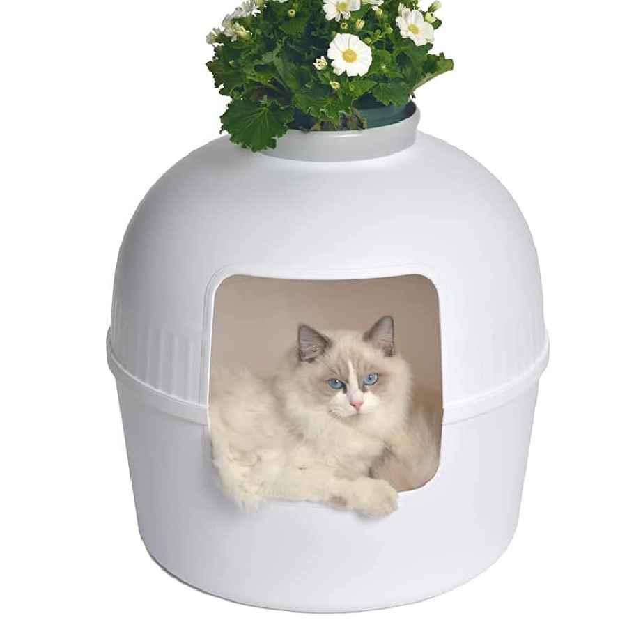 Condocat casa 50 x 50 x 52 cm