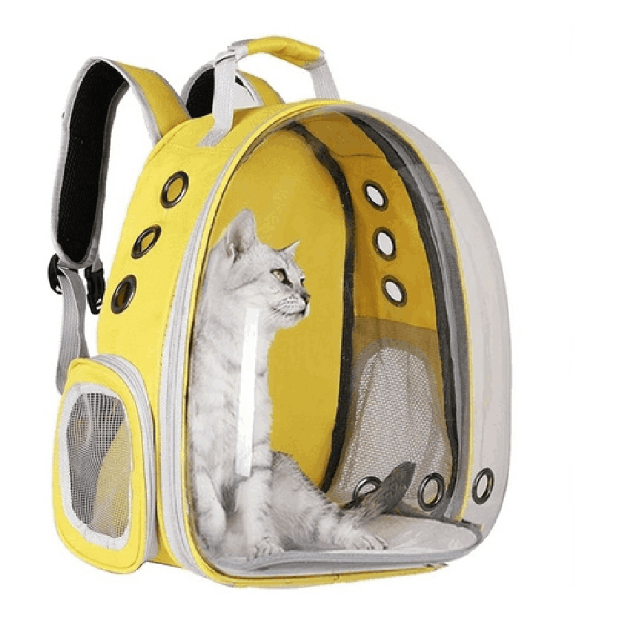 Mochila transportadora transparente