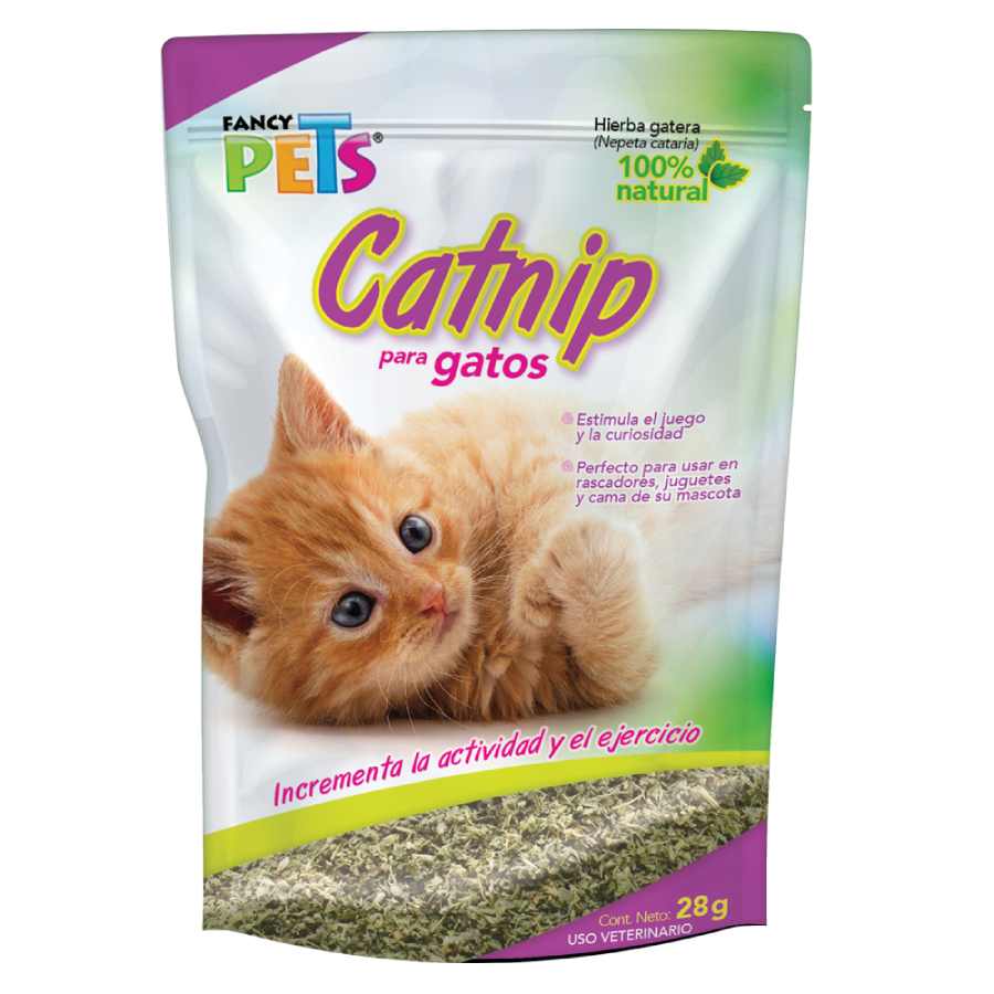 Catnip para gatos