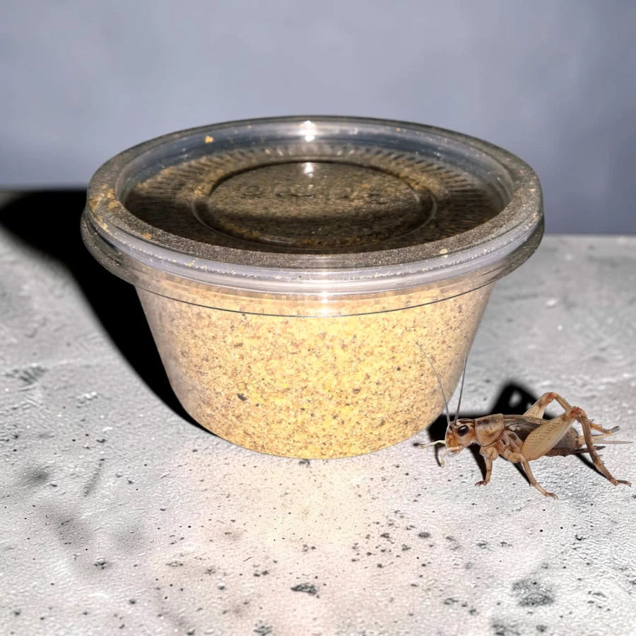 Alimento grande para grillo