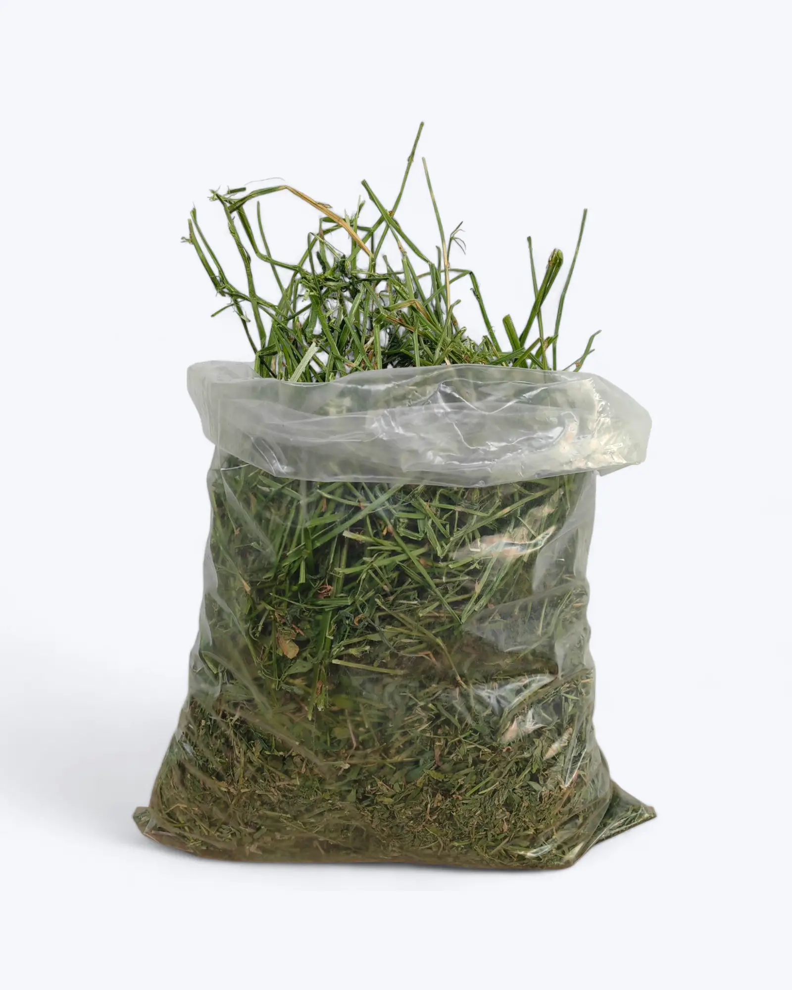 Heno de alfalfa 1 kg